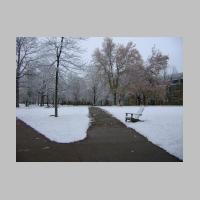 First Snow 06.JPG